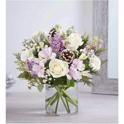 We’ve captured the peaceful beauty of winter in our lovely bouquet. A new seasonal version of our best seller, it’s loosely gathered with soothing lavender & white blooms, cascading greenery all around and pinecone accents for a rustic touch. A truly wonderful way to express your sentiments this time of year.
<ul>
 	<li>All-around arrangement with white roses and carnations; lavender Peruvian lilies (alstroemeria) and stock; accented with baby’s breath, seeded eucalyptus, pinecone picks and assorted Christmas greenery</li>
 	<li>Artistically designed a clear glass cylinder vase</li>
 	<li>Large arrangement measures approximately 15"H x 13"W</li>
 	<li>Medium arrangement measures approximately 13"H x 12"W</li>
 	<li>Small arrangement measures approximately 12"H x 9"W</li>
 	<li>Our florists select the freshest flowers available, so colors, varieties and container may vary due to local availability</li>
 	<li>To ensure lasting beauty, Peruvian lilies may arrive in bud form and will fully bloom over the next few days</li>
</ul>